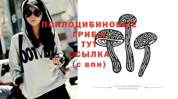 сатива Нязепетровск