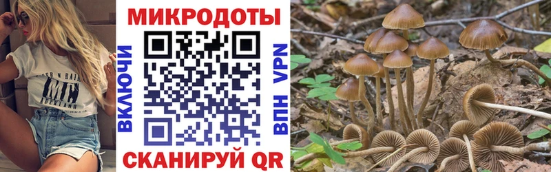 Псилоцибиновые грибы Psilocybine cubensis  MEGA зеркало  Змеиногорск 