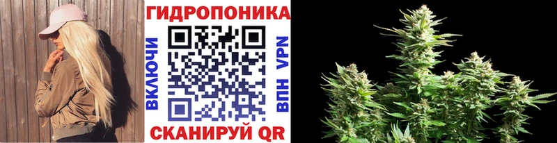 площадка формула  Змеиногорск  Конопля гибрид 